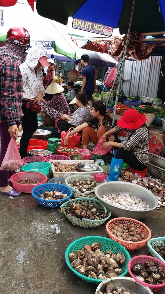 Chợ hải sản - Nét độc đáo của huyện đảo Cô Tô ảnh 4