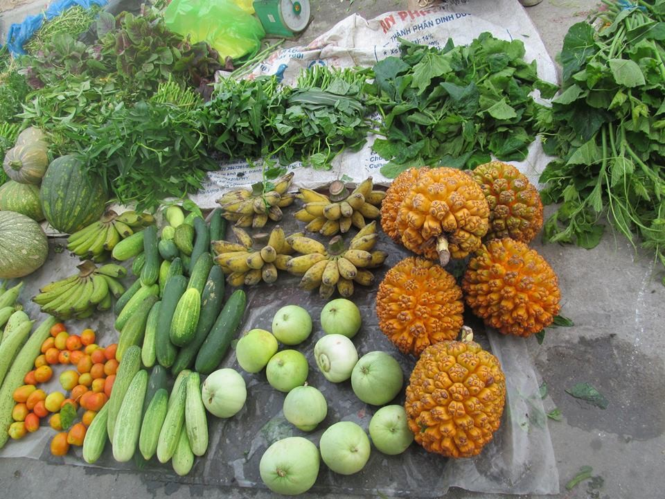 Chợ hải sản - Nét độc đáo của huyện đảo Cô Tô ảnh 5