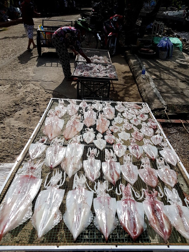 Ra Cù Lao Chàm thưởng thức mực một nắng “chính hãng” ảnh 1