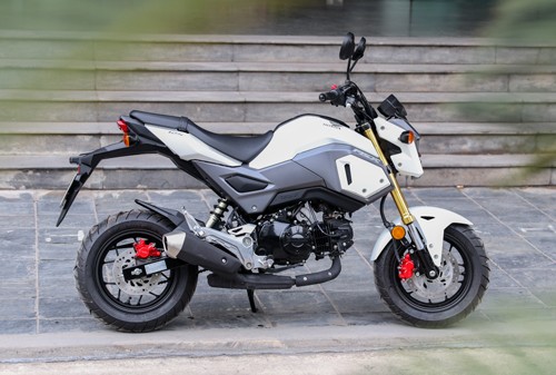 Honda MSX125 - xế 'cưng' cho giới trẻ Việt ảnh 1