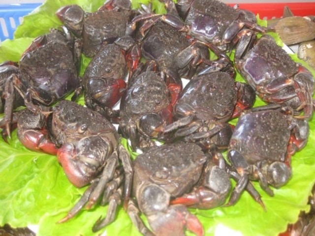 Ngất ngây với đặc sản Trà Vinh ảnh 2