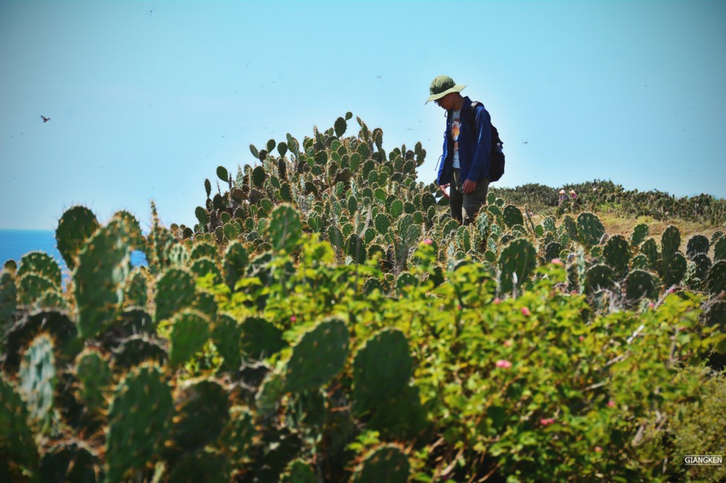 Giấc mơ tuổi thơ ở Gành Ông - Bãi Xép ảnh 11