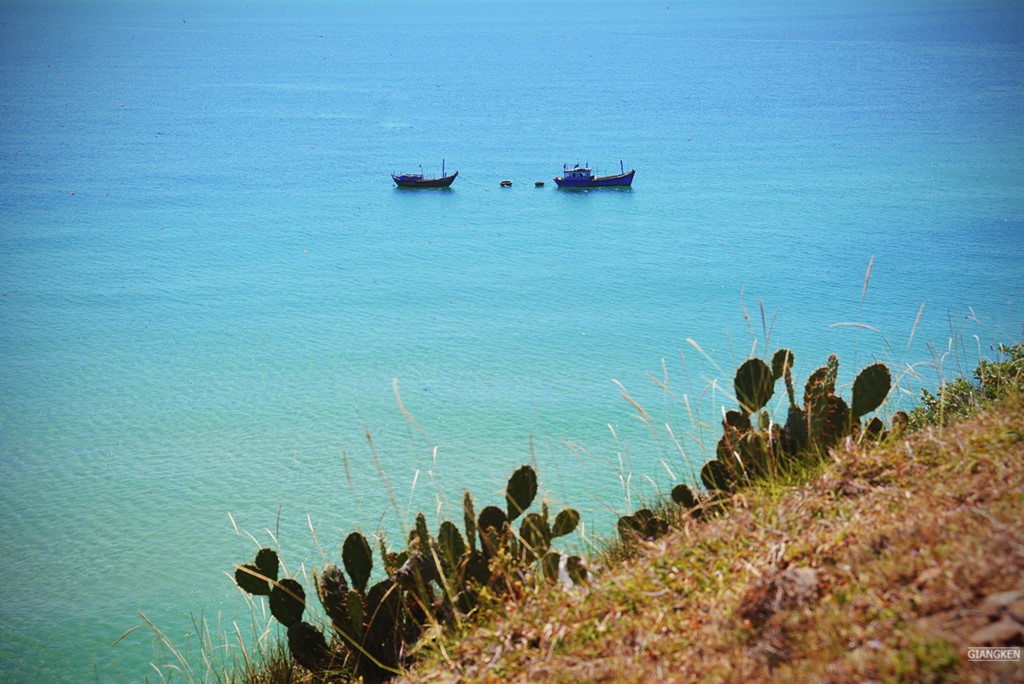 Giấc mơ tuổi thơ ở Gành Ông - Bãi Xép ảnh 8