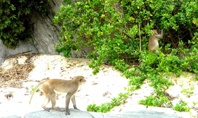 8 hòn đảo hoang sơ hấp dẫn nhất Việt Nam ảnh 8