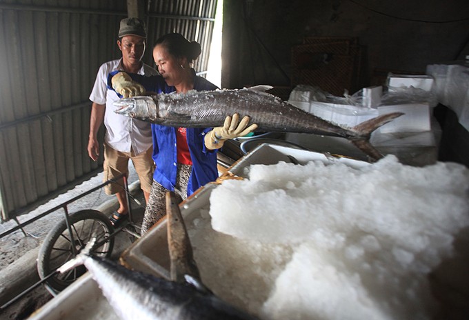 Vùng biển nướng cá thu phục vụ khách làm quà ảnh 1