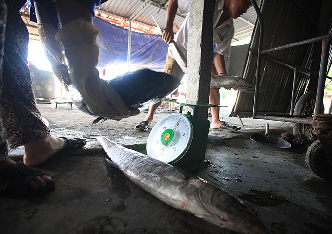 Vùng biển nướng cá thu phục vụ khách làm quà ảnh 2