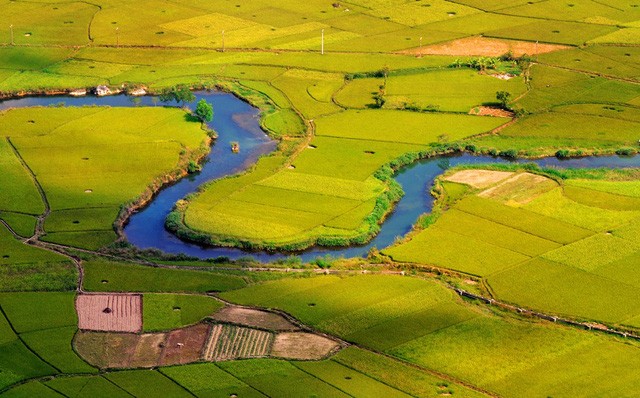 Đi ngay kẻo lỡ mùa lúa chín đẹp lung linh ở Bắc Sơn ảnh 2