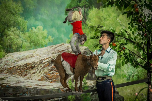 Địa điểm thu hút giới nhà giàu Triều Tiên tụ tập dịp cuối tuần ảnh 3