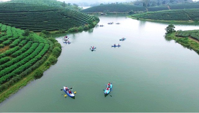 Đi trốn nóng ở ốc đảo chè đẹp mê hồn xứ Nghệ ảnh 9