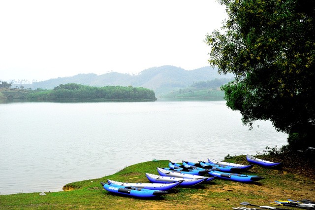 Đi trốn nóng ở ốc đảo chè đẹp mê hồn xứ Nghệ ảnh 4