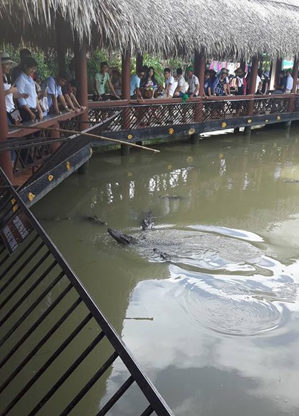 Ba ngày hai đêm vui thú miệt vườn miền Tây dịp 2/9 ảnh 5