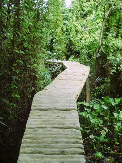 Ba ngày hai đêm vui thú miệt vườn miền Tây dịp 2/9 ảnh 8