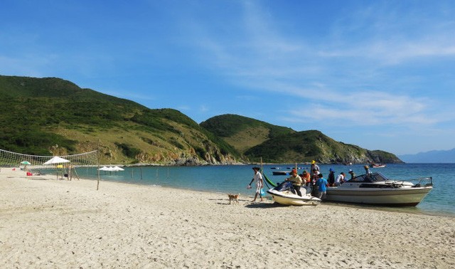 Về Bãi Che khi còn may mắn ảnh 1