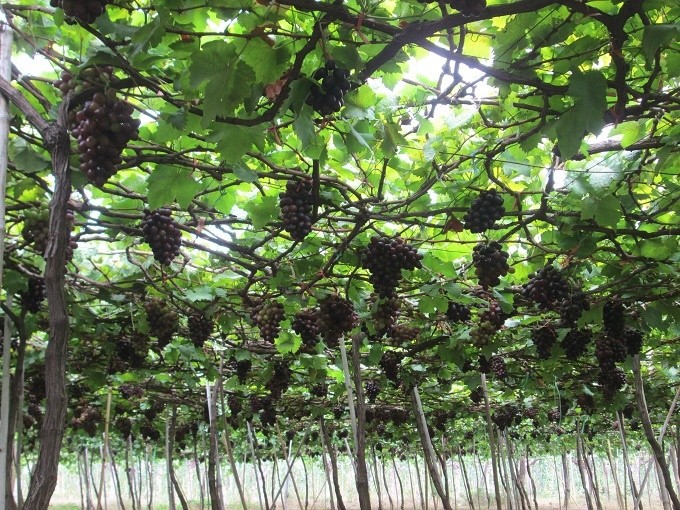 Những điểm du lịch nhất định phải ghé vào tháng 9 ảnh 5