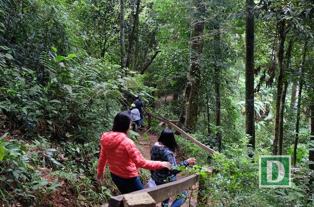 Kỳ thú hành trình “phượt” Măng Đen ảnh 11