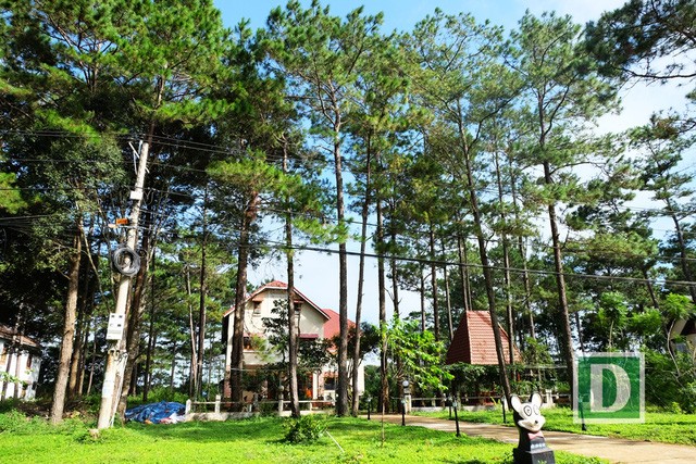 Kỳ thú hành trình “phượt” Măng Đen ảnh 4