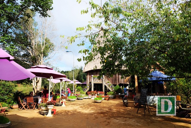 Kỳ thú hành trình “phượt” Măng Đen ảnh 6