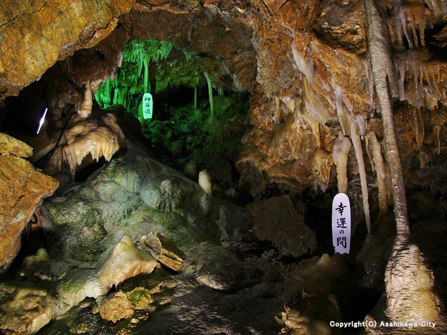 Đến thị trấn trồng dưa hấu đen giá cả trăm triệu đồng/quả ảnh 4