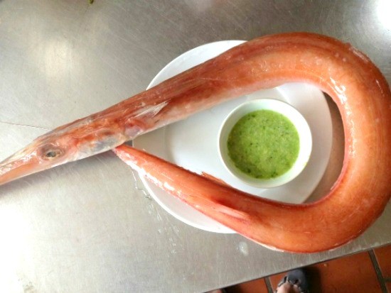 Thử loại cá “nhà giàu mới dám ăn” ở Đà Nẵng ảnh 2