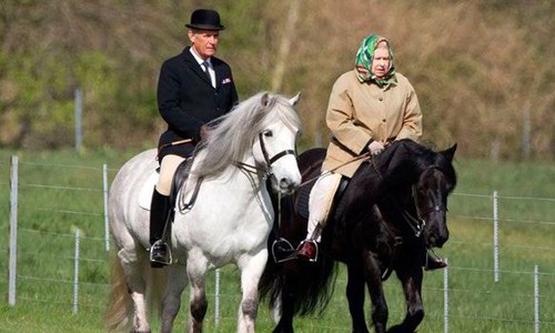 Nữ hoàng Anh thắng gần 9 triệu USD nhờ nuôi ngựa đua ảnh 1