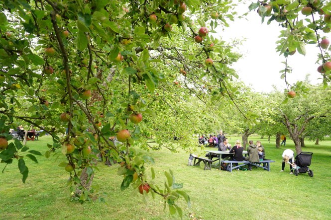 Tôi đã bị Stockholm “đốn ngã” như thế nào? ảnh 1