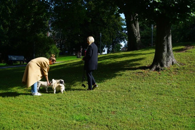 Tôi đã bị Stockholm “đốn ngã” như thế nào? ảnh 5