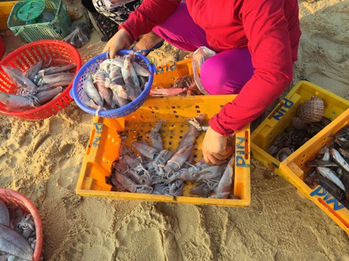 Làng chài ít người biết gần Gành Đá Đĩa của Phú Yên ảnh 3