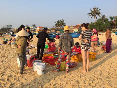 Làng chài ít người biết gần Gành Đá Đĩa của Phú Yên ảnh 4