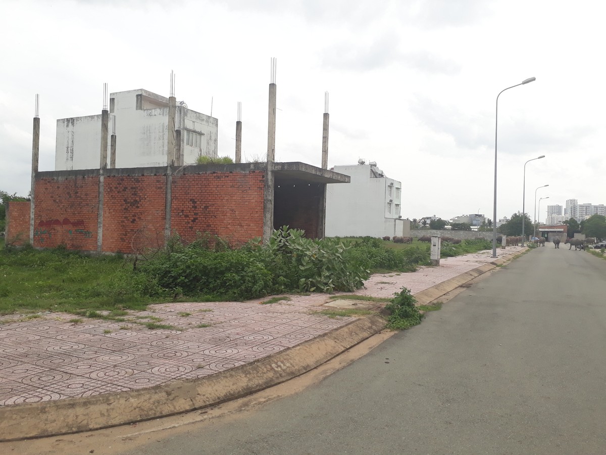 HoREA đề xuất TP.HCM tháo gỡ khó khăn cho dự án như câu chuyện của Bình Dương ảnh 1