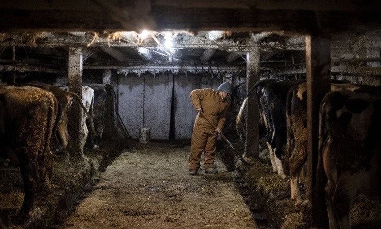 Nông dân Mỹ 'chạy ăn từng bữa' ảnh 2