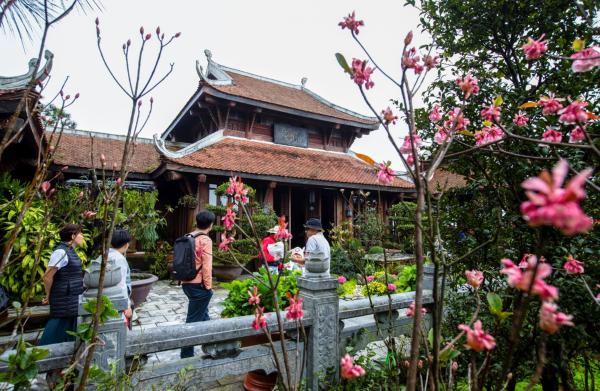 Ngất ngây sắc đào chuông trên đỉnh Bà Nà ảnh 6