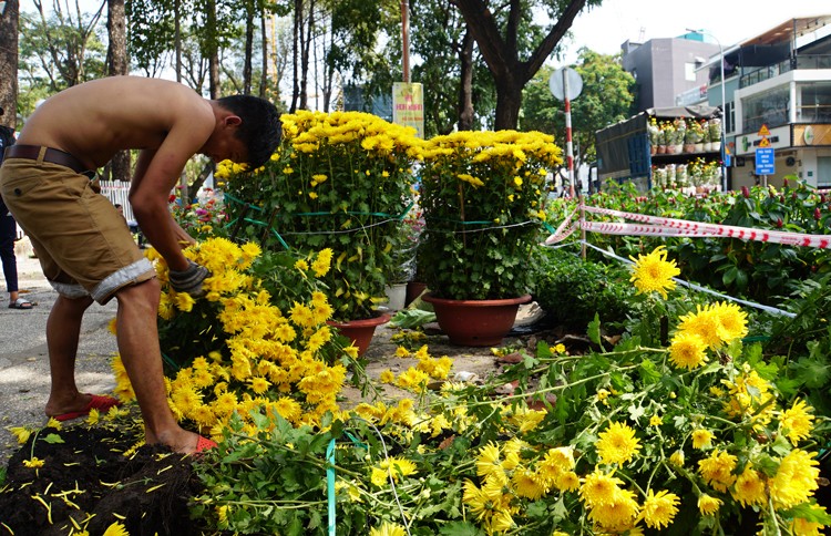 Người bán đập nát hoa ế ảnh 1