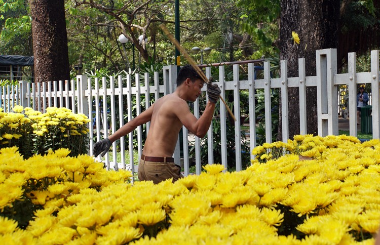 Người bán đập nát hoa ế ảnh 2