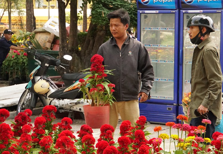 Người bán đập nát hoa ế ảnh 3