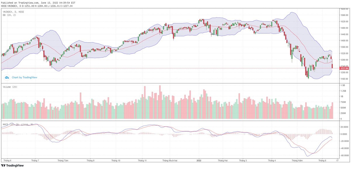 Biểu đồ kỹ thuật VN-Index.