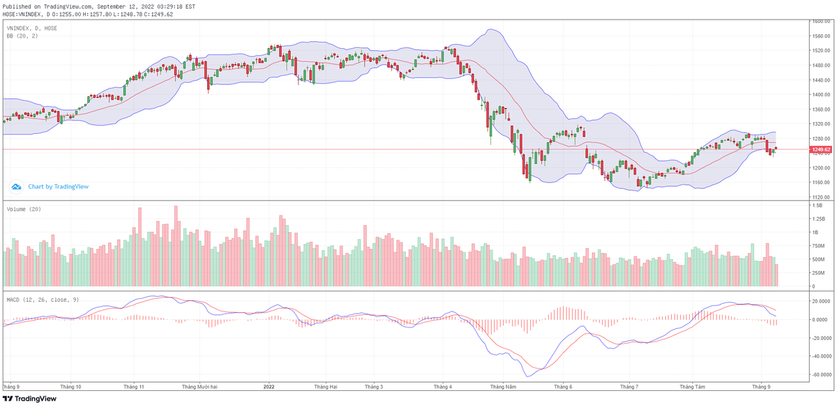Biểu đồ kỹ thuật VN-Index.