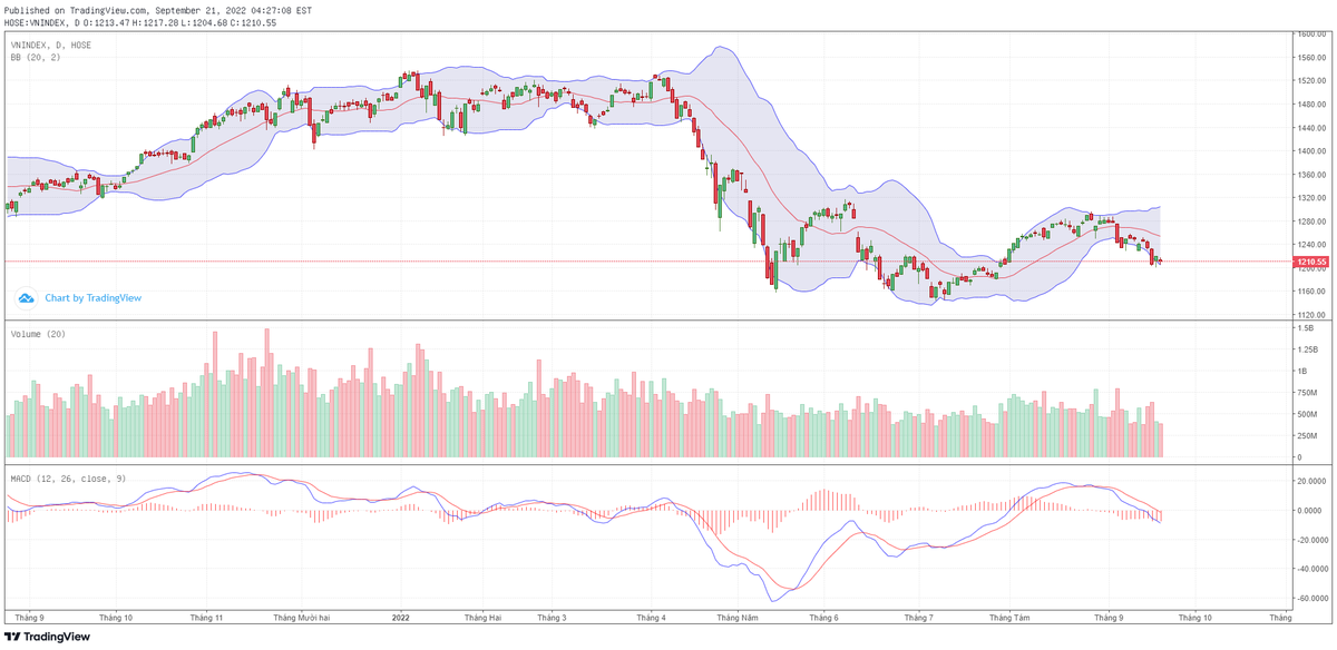 Biểu đồ kỹ thuật VN-Index. Biểu đồ kỹ thuật VN-Index.