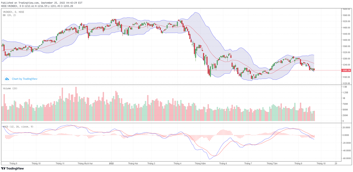 Biểu đồ kỹ thuật VN-Index.