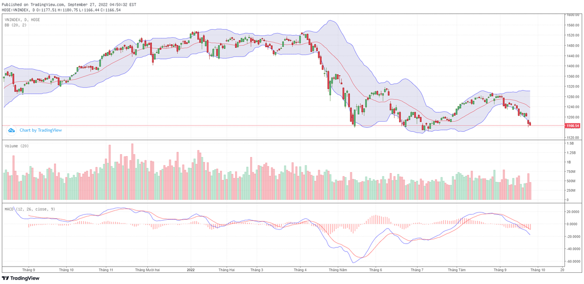 Biểu đồ kỹ thuật VN-Index.