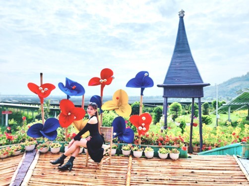 Tiểu cảnh rực rỡ sắc màu.