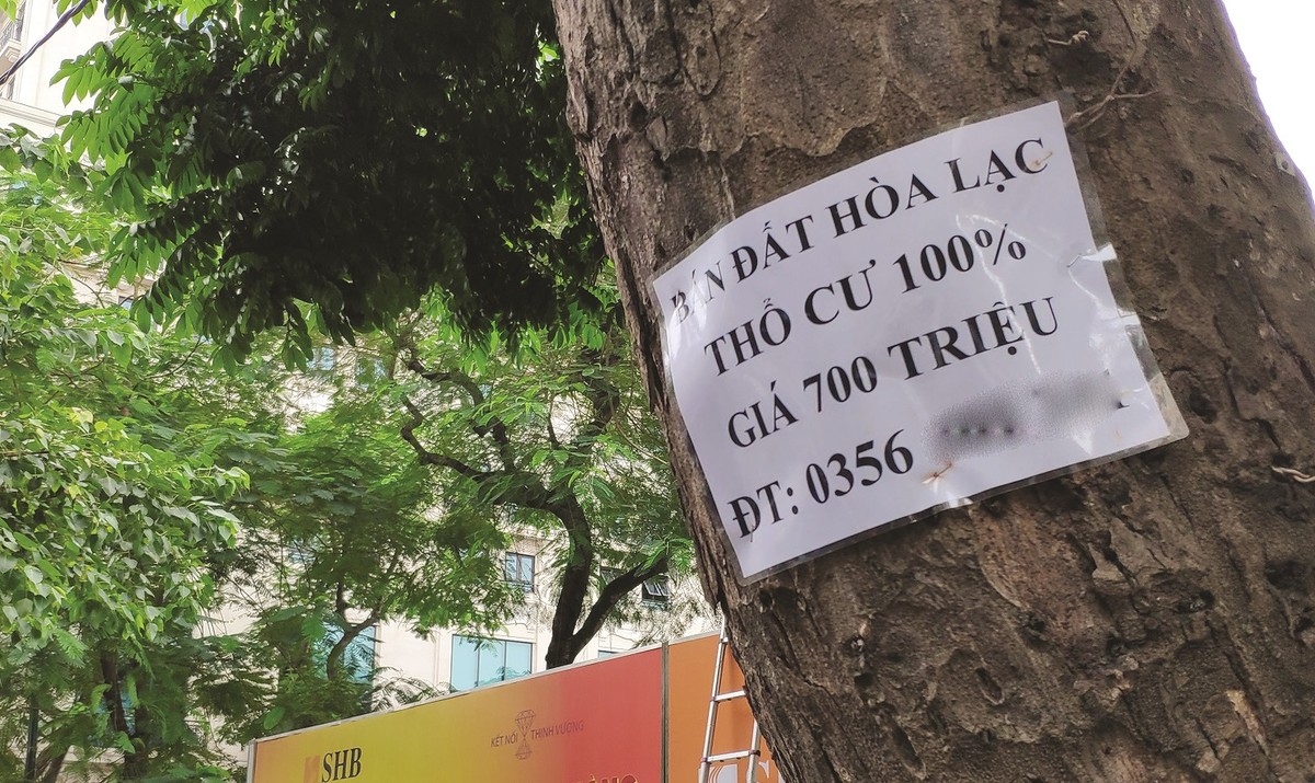 Đất nền được dự báo sẽ hút mạnh dòng tiền trong thời gian tới.