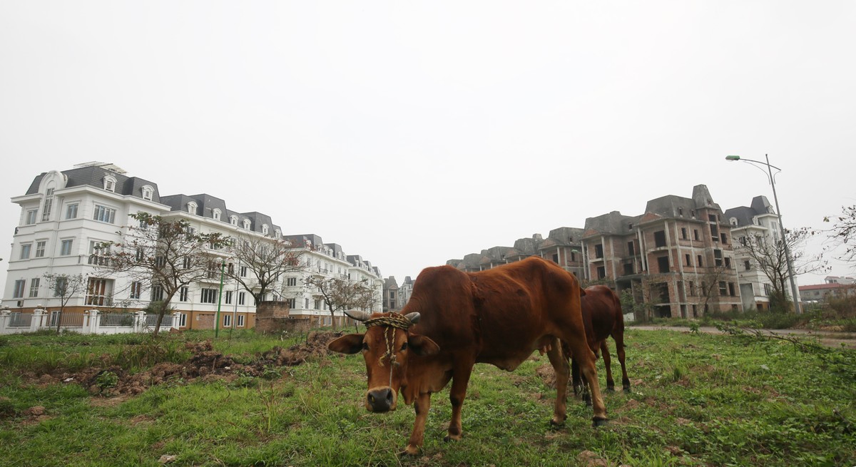 Định giá đất luôn là vấn đề nan giải.