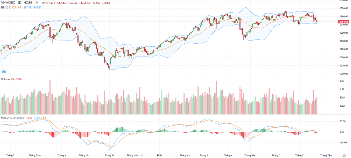 Biểu đồ kỹ thuật VN-Index.