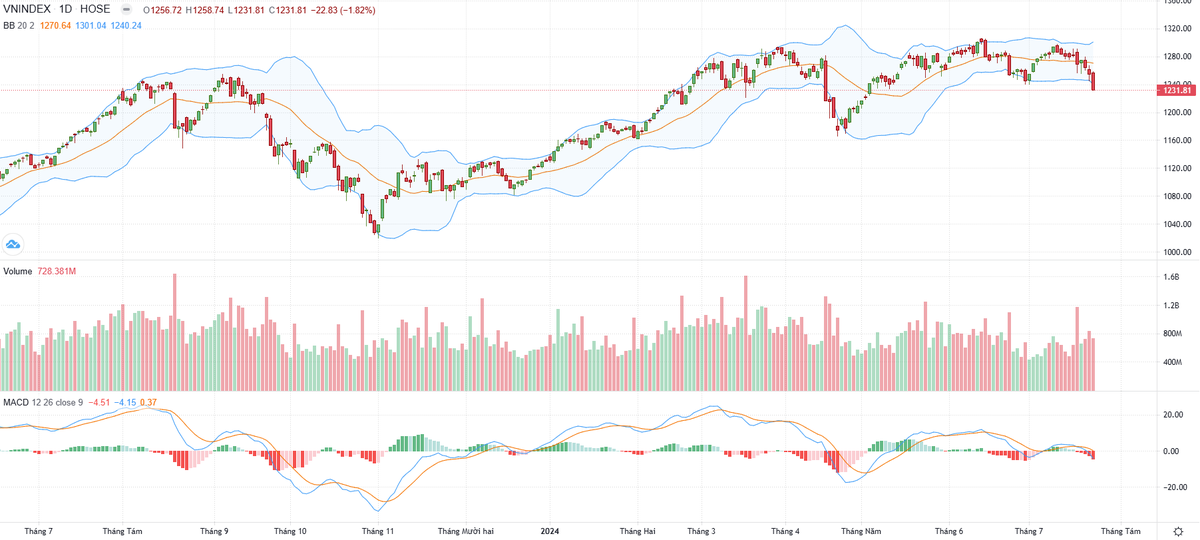 Biểu đồ kỹ thuật VN-Index.