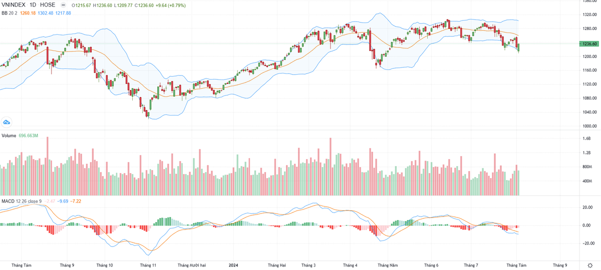 Biểu đồ kỹ thuật VN-Index.