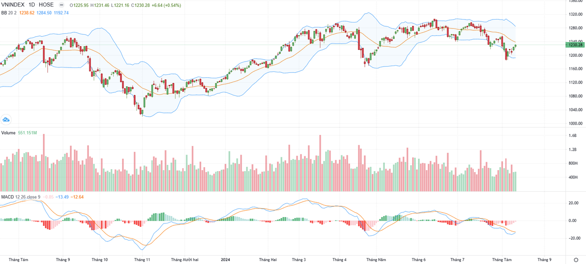 Biểu đồ kỹ thuật VN-Index.