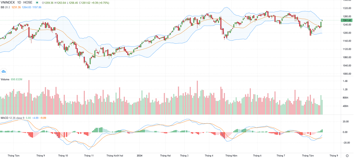 Biểu đồ kỹ thuật VN-Index.