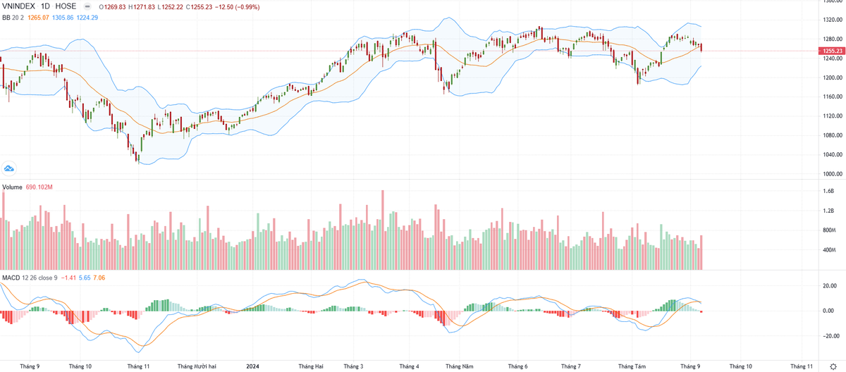 Biểu đồ kỹ thuật VN-Index.