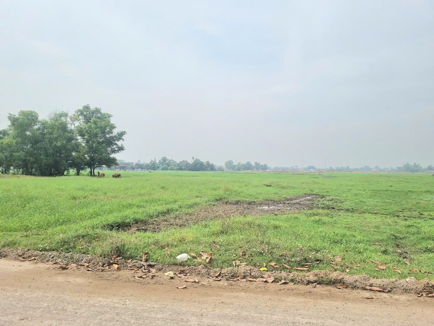 Bên trong dự án vẫn được người dân trồng lúa. Bên trong dự án vẫn được người dân trồng lúa.