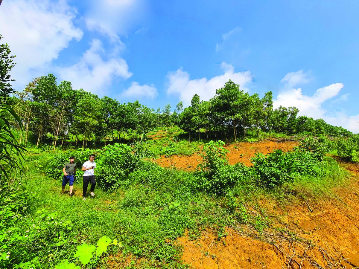 Tâm lý FOMO thúc đẩy nhà đầu tư gom đất ồ ạt. Ảnh: Dũng Minh. Tâm lý FOMO thúc đẩy nhà đầu tư gom đất ồ ạt. Ảnh: Dũng Minh.